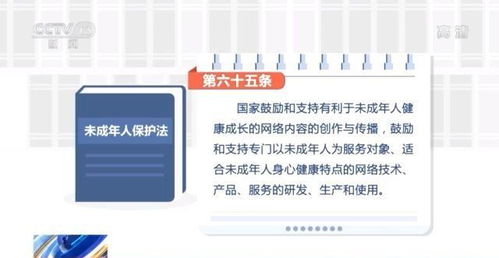 新未保法下的“青少年模式” 有效规制与技术边界的思考
